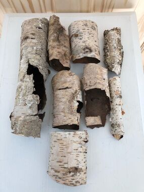 Natural White Birch Bark Collection